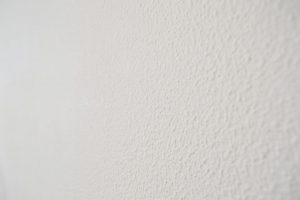 米沢女子短期大学・米沢栄養大学生 女性専用シェアハウス「ぴーちぇすハウス」漆喰壁